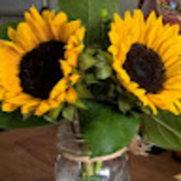 Meet your Posher, Hello - Picture 1 of 1